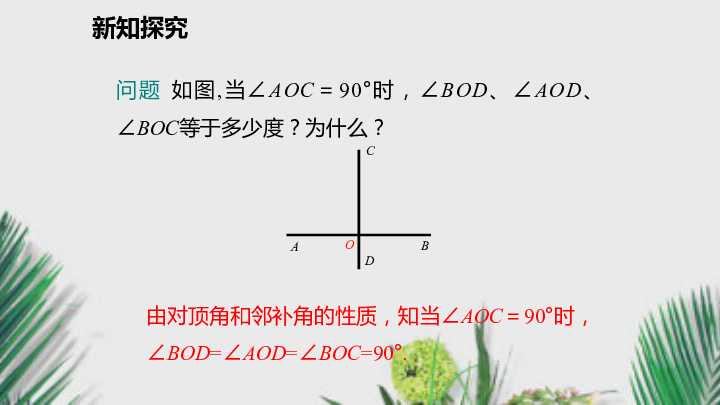 2020年春沪科版七年级数学下册课件10.1.2垂线（29张）