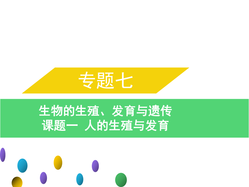 2021年中考生物總複習專題七課題一人的生殖與發育課件17張ppt