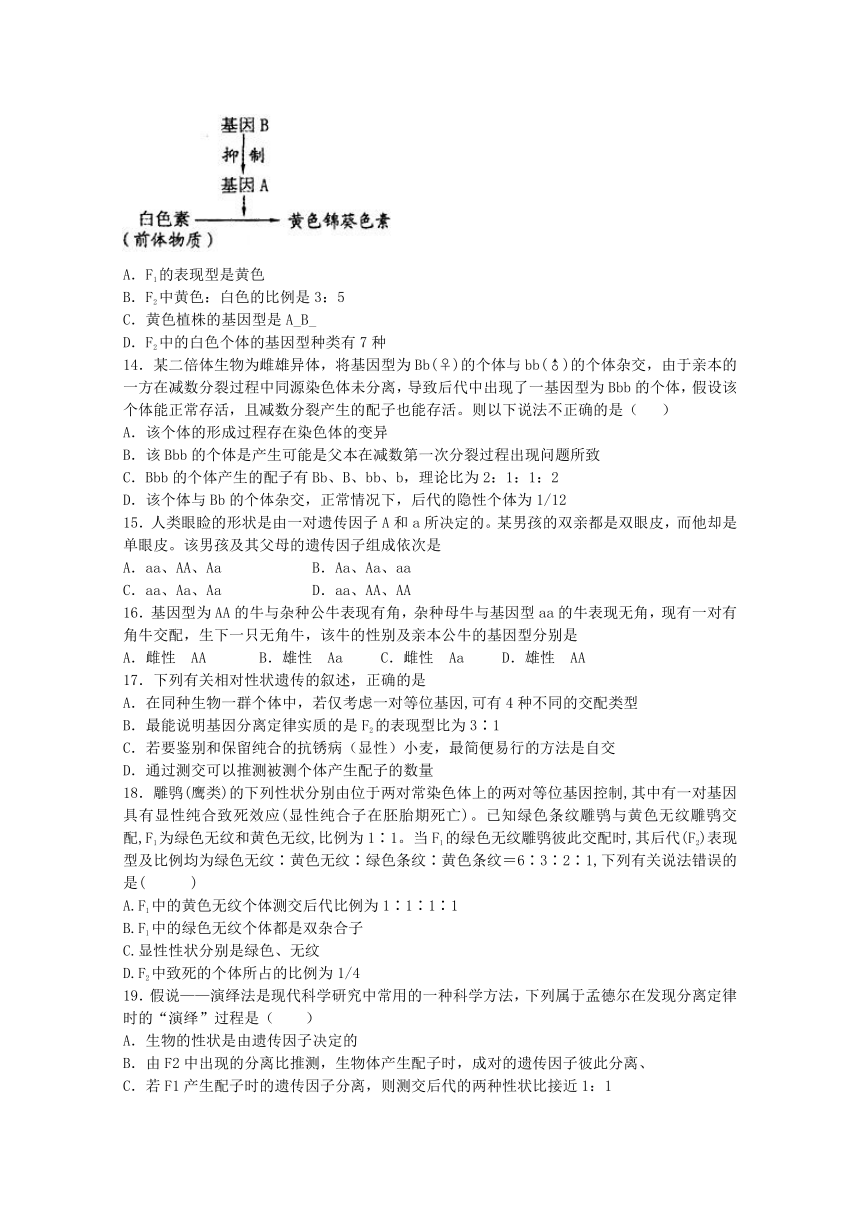 湖北省枣阳市育才中学2016-2017学年高一下学期第一次质量检测生物试题