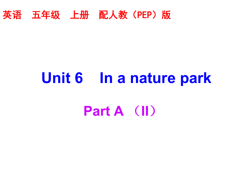Unit 6 In a nature park  Part A 练习课件（含答案） (共17张PPT)