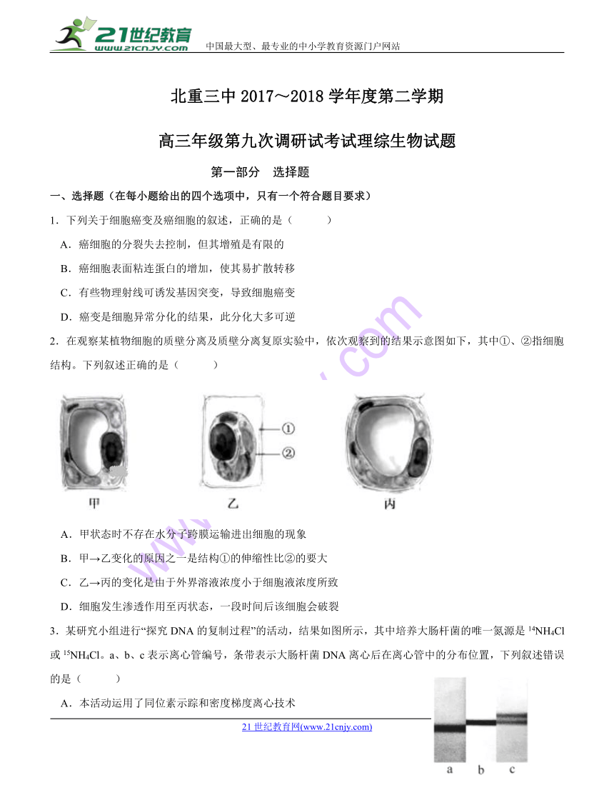 内蒙古北重三中2018届高三第九次调研考试 理综生物