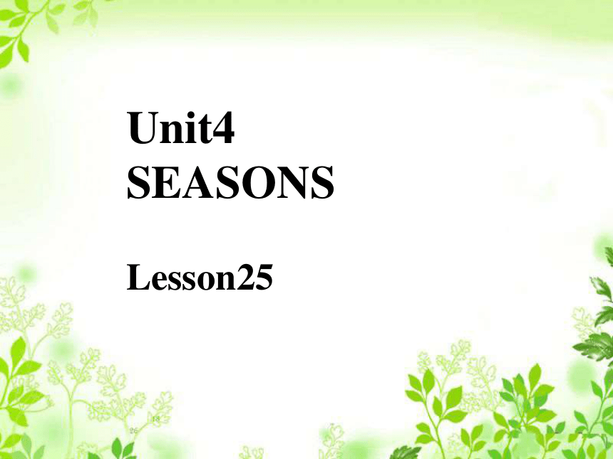 Unit 4 Seasons Lesson 25 课件
