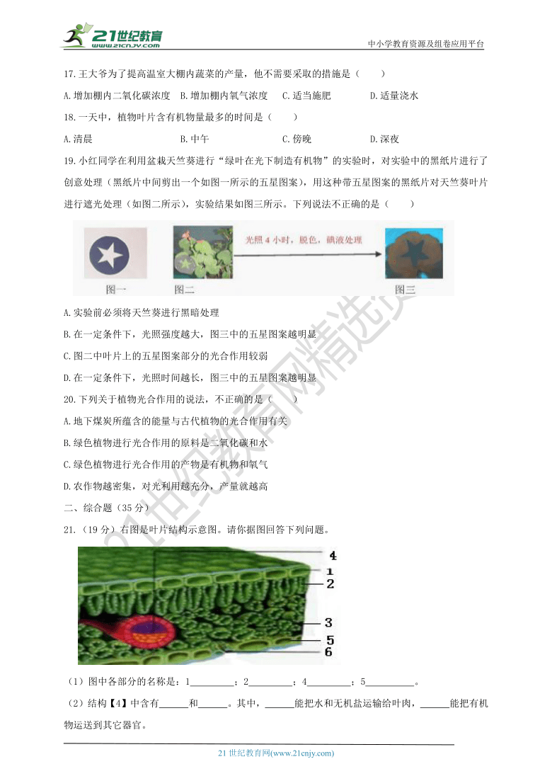 3.3《叶的光合作用》单元测试（含答案）