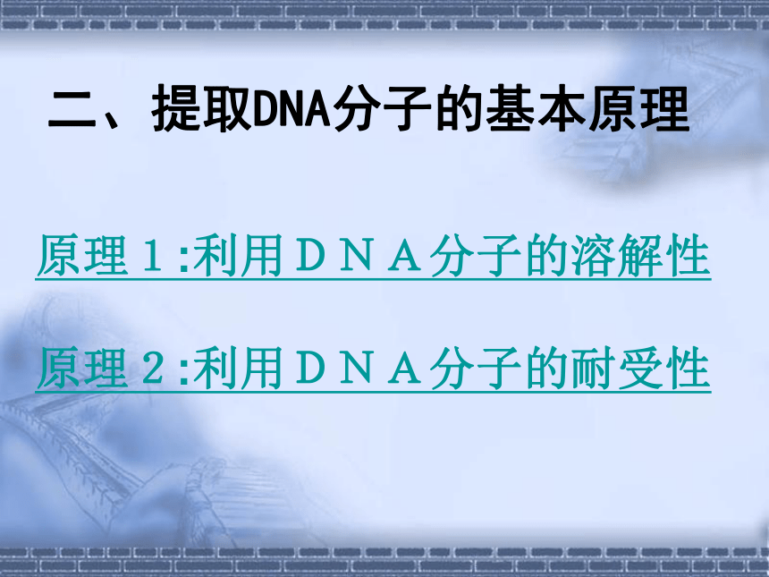 人教版选修1专题五课题1DNA粗提取与鉴定（共18张PPT）