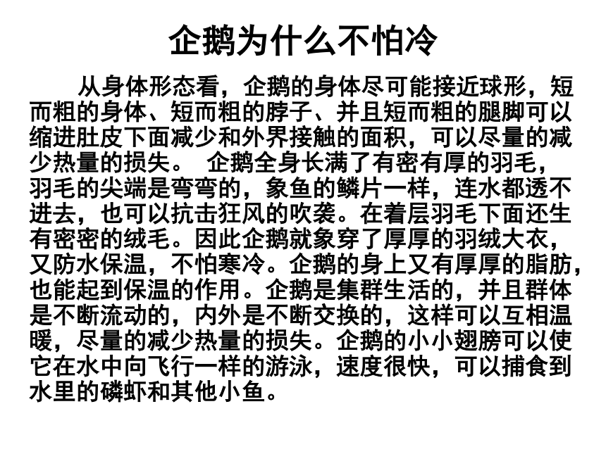 有利于生存的本领 课件