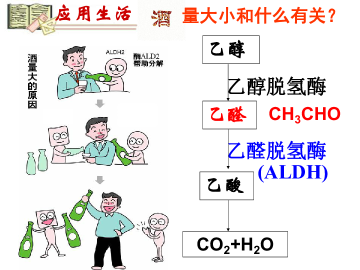 人教版高中化学必修二  3.3 乙醇 课件32张PPT