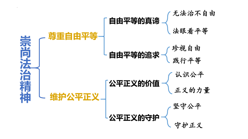 尊重自由平等思维导图图片