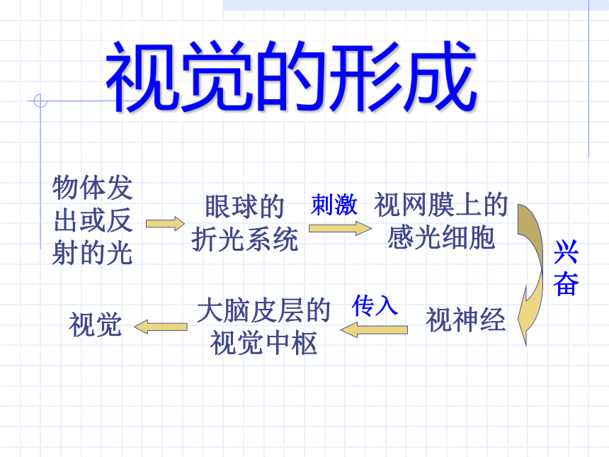 第一章 复习 练习[下学期]