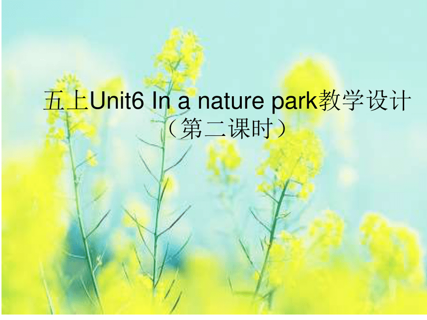 Unit 6 In a nature park 第二课时课件