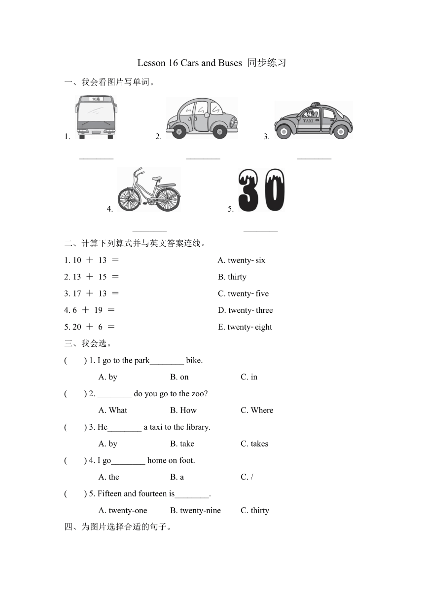 Lesson 16 Cars and buses 同步练习（含答案）