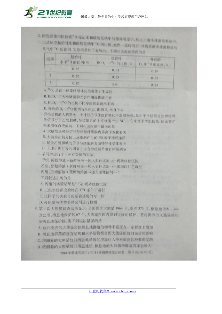 湖北省2018届高三5月冲刺理科综合试题（扫描版，含答案）