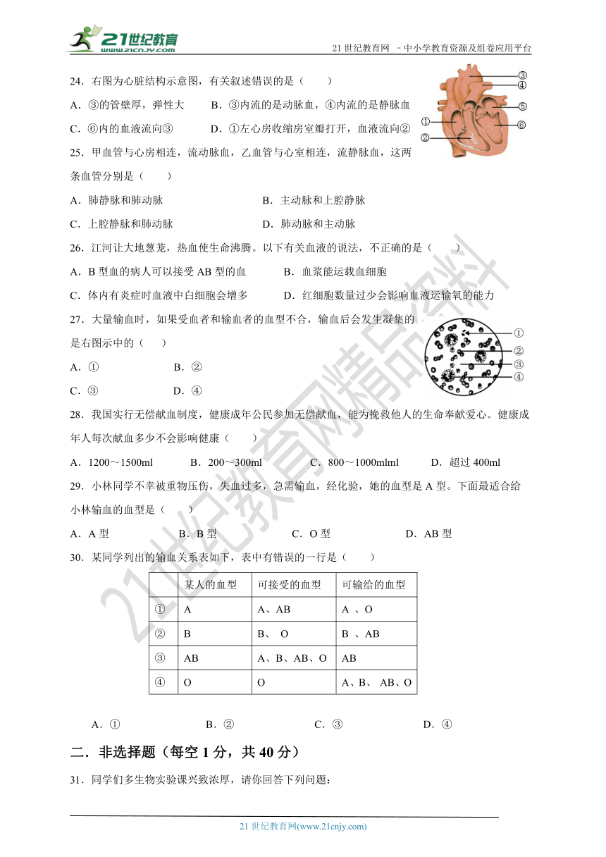 第四章   人体内物质的运输单元检测试题（二）（含答案）