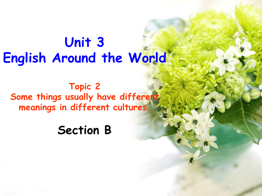 Unit 3 Topic 1 English is widely spoken throughout the world.Section B课件（14张，无素材）