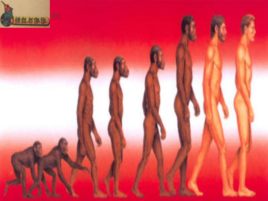 《追寻人类祖先的足迹》课件2