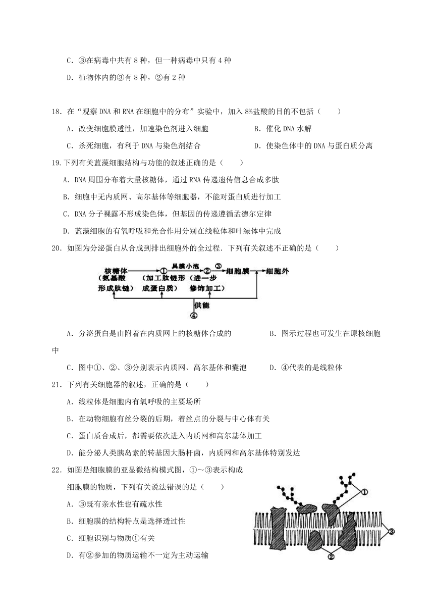 福建省福州文博中学2017届高三生物10月（第二次月考）培优试题（无答案）