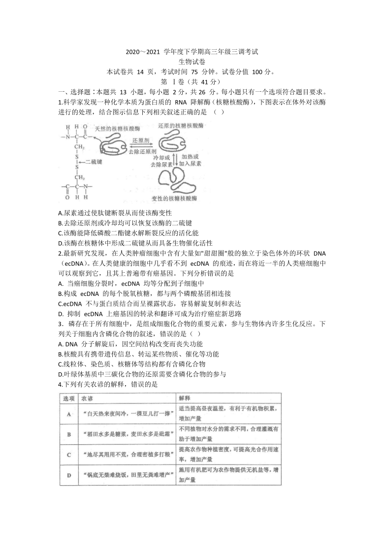 河北省衡水中学2021届高三5月份第3次调研生物试题    含答案