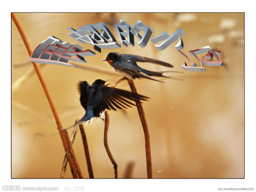美术六年级下岭南版4.8 展翅的小鸟课件（25张）