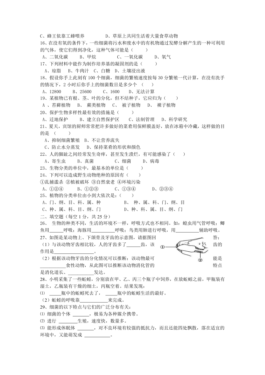 八年级生物上期末素质测试题