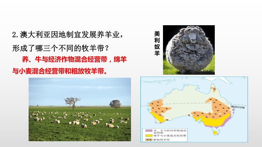 澳大利亚的三大牧羊带图片