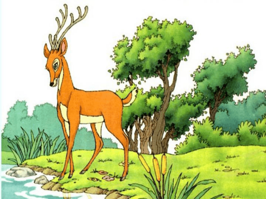 鹿角和鹿腿课文插图图片