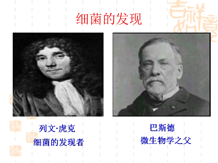 六年级下册科学课件- 《细菌》 北京版   (共17张PPT)