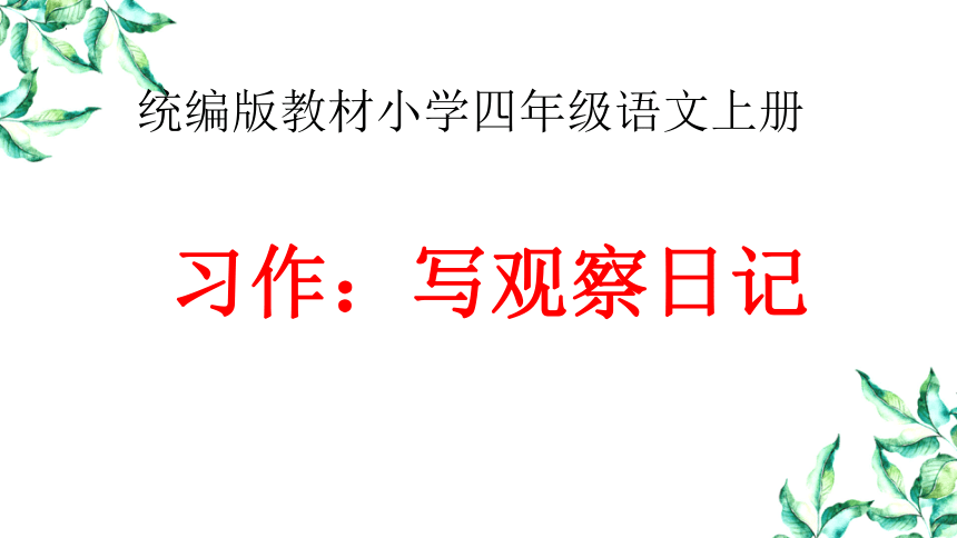 课件预览