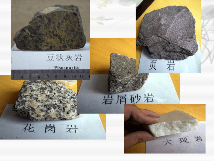 科学四年级下青岛版2.6岩石的风化课件(38张)