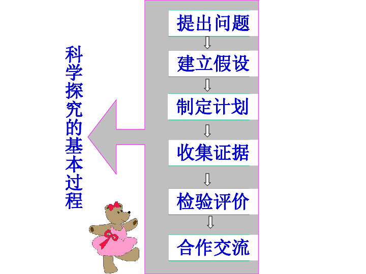 15科学探究课件30张ppt