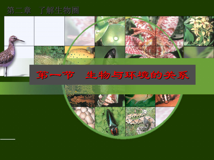 生物与环境的关系课件(共48张PPT)