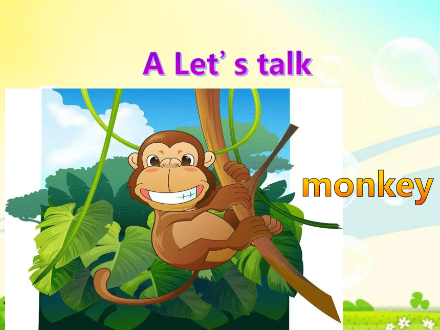 Unit 3 At the zoo PA Let's talk 课件