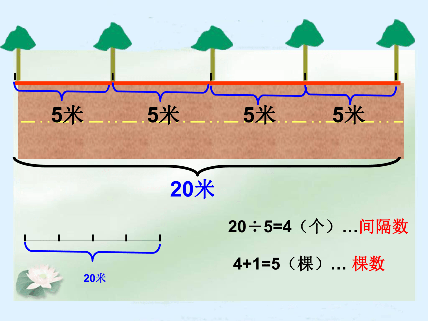 人教版小学五年级上册7 数学广角植树问题 课件