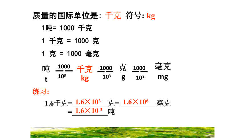 2.10 质量的测量 课件