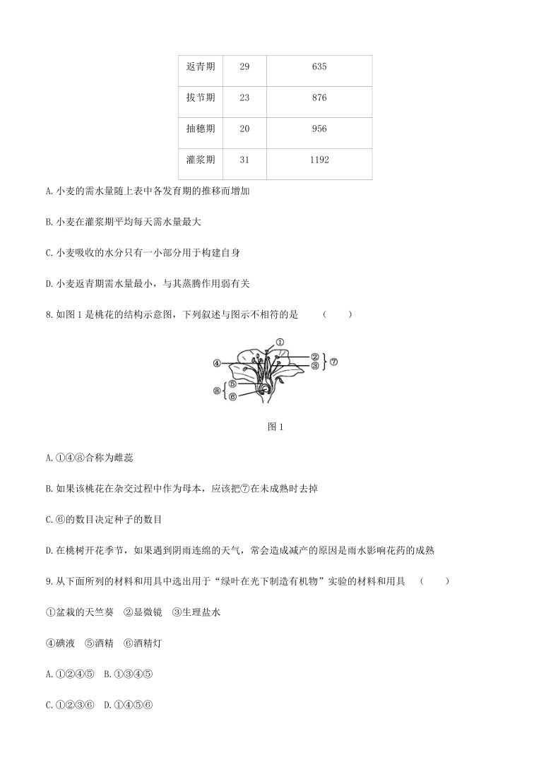 2021年内蒙古包头市中考生物专题提升训练03    生物圈中的植物（word版含解析）