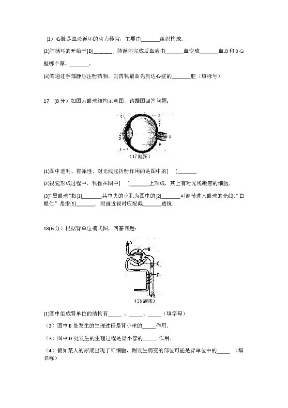 甘肃省庆阳市镇原县2010-2020学年七年级下学期期末考试生物试题Word版含PDF版答案 (共2份打包)