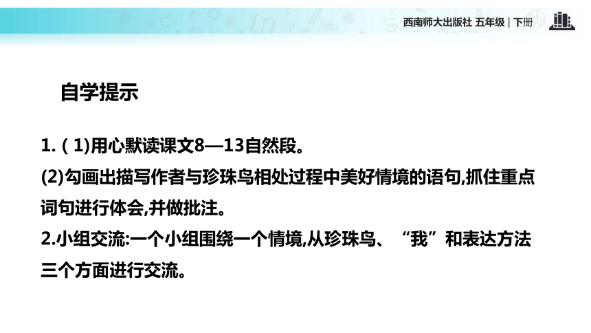 珍珠鸟   课件(共15张PPT)