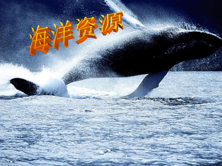 第四节 中国的海洋资源课件