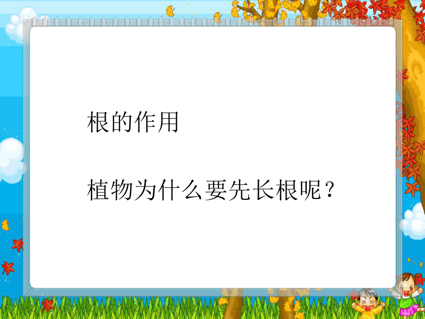 （人教版）三年级自然与科学下册课件 我们先看到了根1