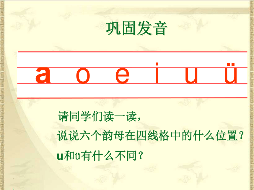 《i u ü》课件