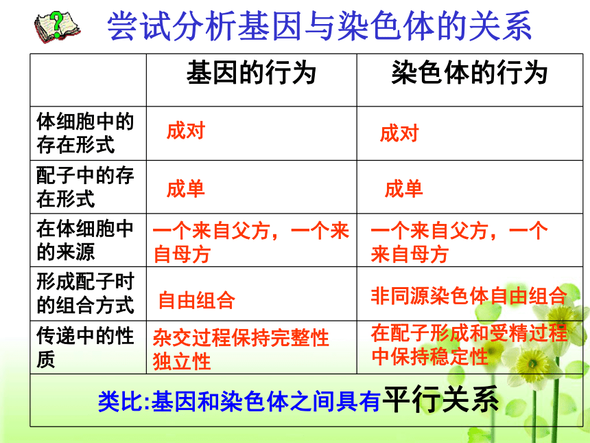 浙科版必修2第二章第二节遗传的染色体学说（共28张PPT）