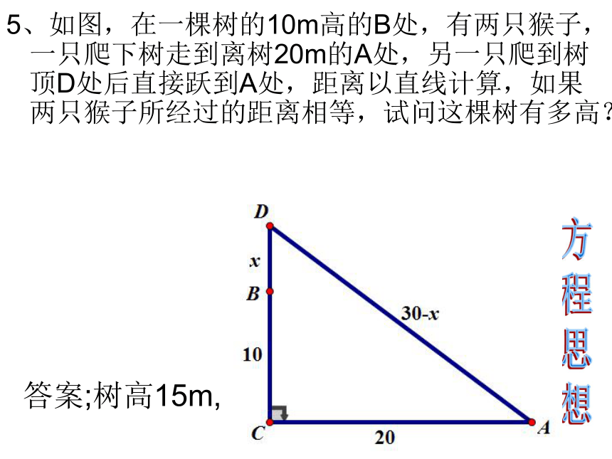 八年级上册14.2勾股定理的应用课件