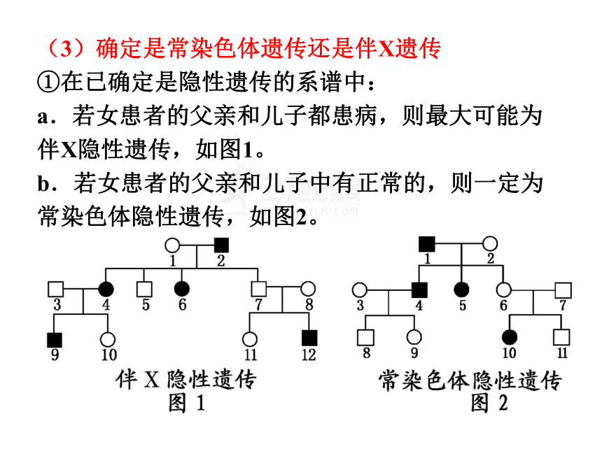 2.3.2伴性遗传的实践应用（共20张PPT）