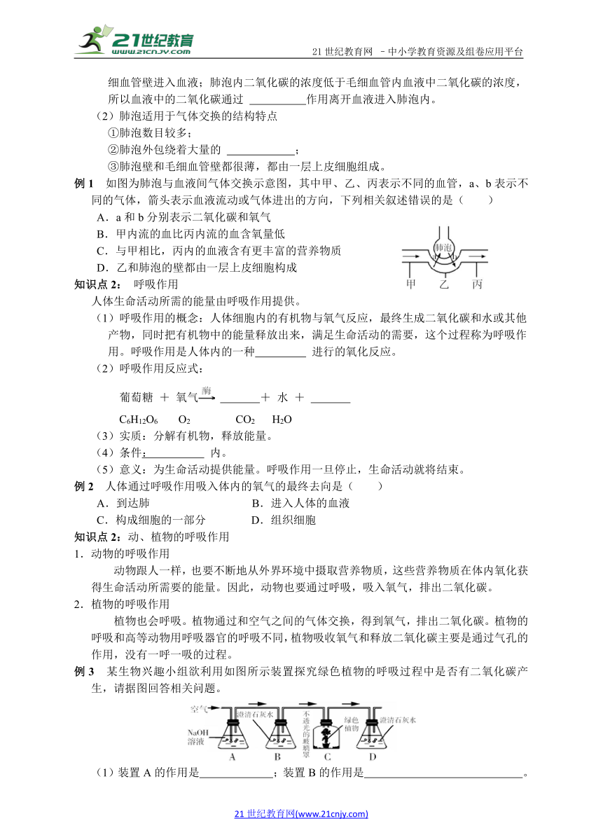 第5节  生物的呼吸和呼吸作用　专题复习与巩固训练