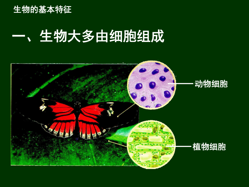 初中生物苏科版7年级上册第一章第一节 生物与生物学