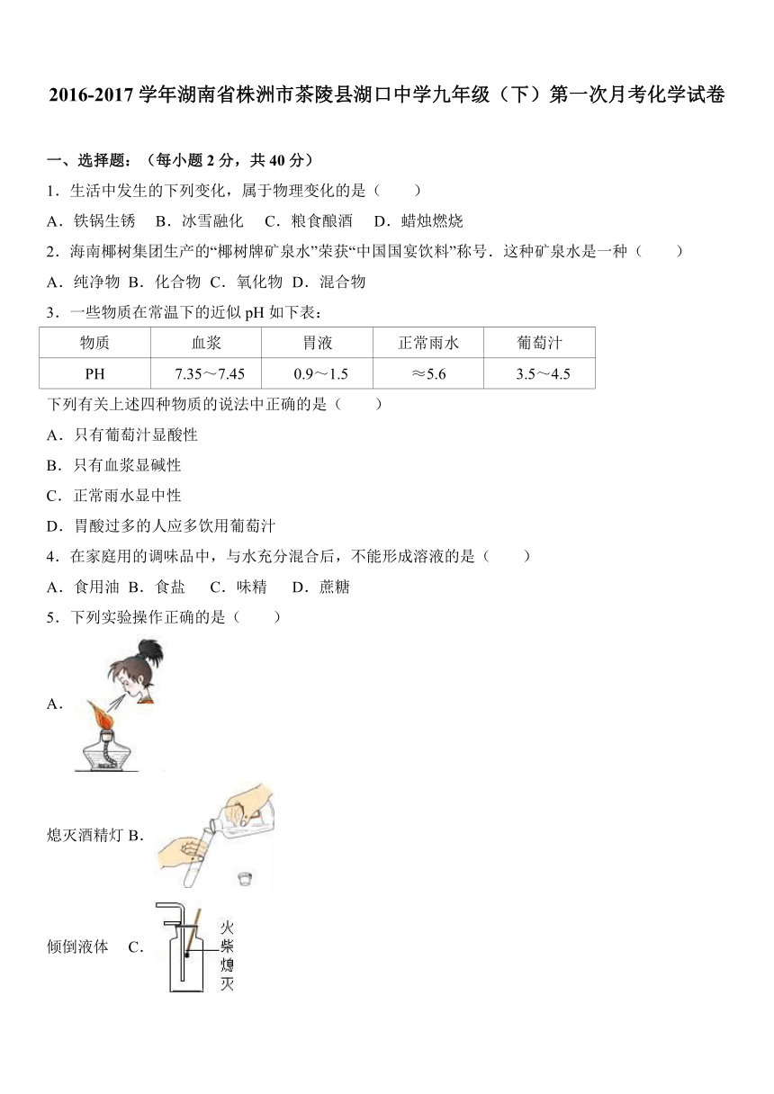 湖南省株洲市茶陵县湖口中学2016-2017学年九年级（下）第一次月考化学试卷（解析版）