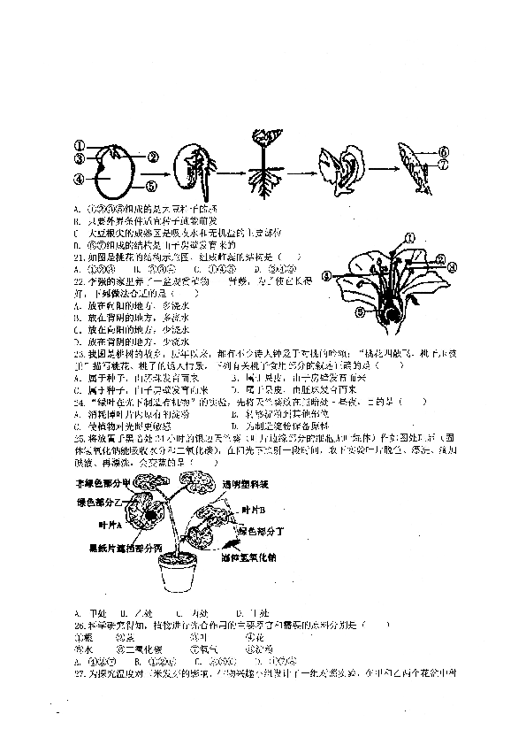 广东省阳江市江城区2019-2020学年第一学期七年级生物期末试题（扫描版，含答案）