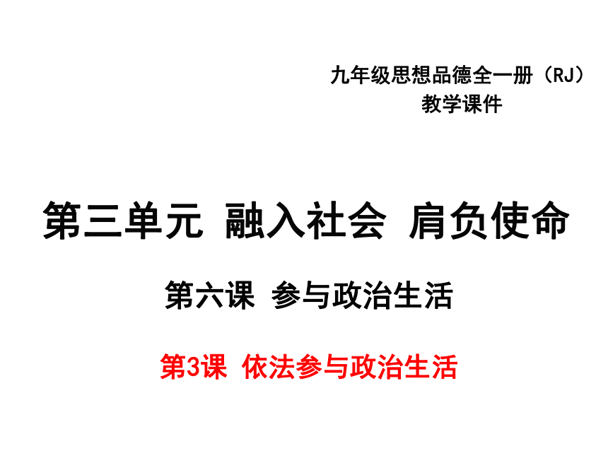 2017（秋）九年级人教版政治课件： 6.3依法参与政治生活