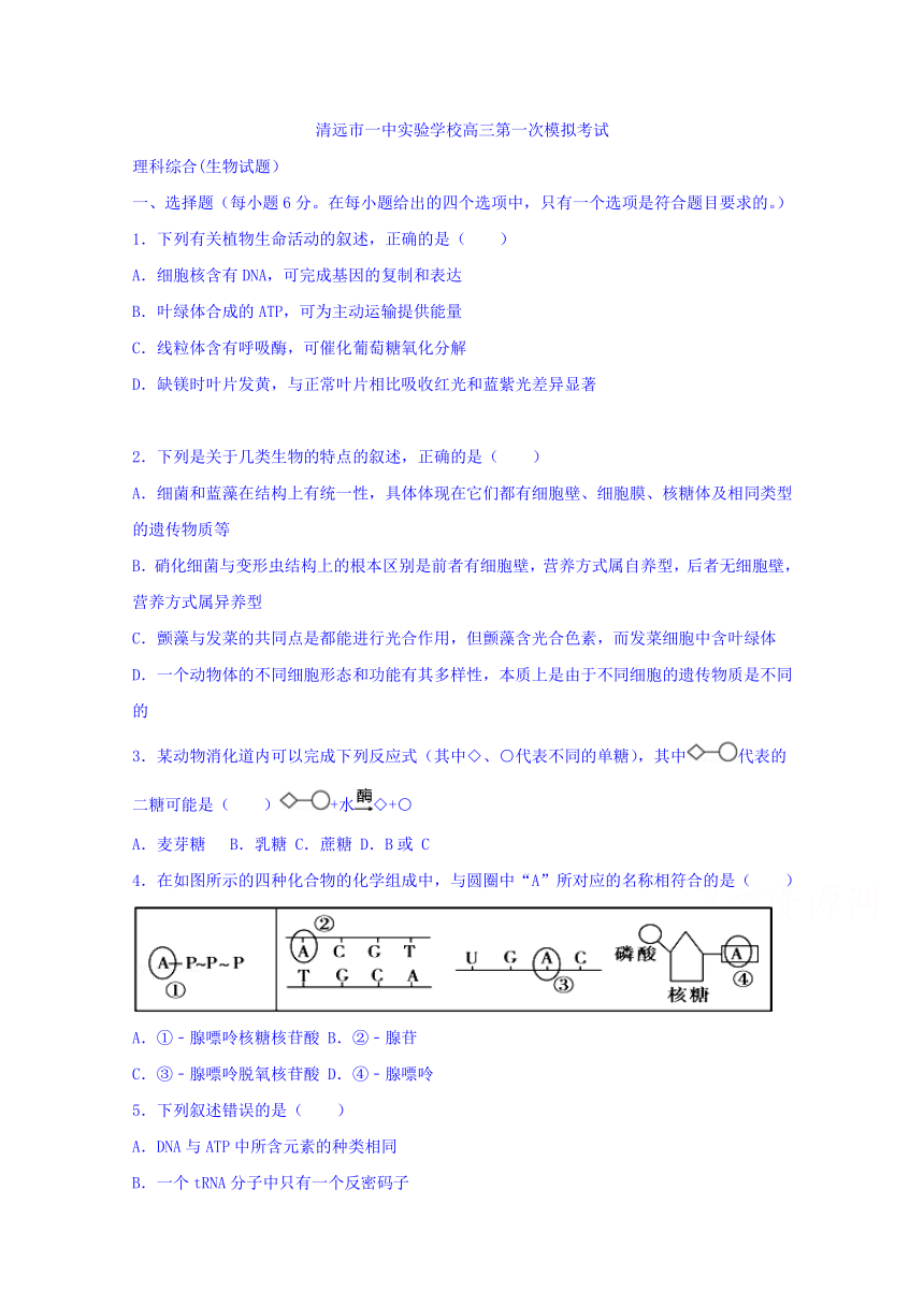 广东省清远市第一中学实验学校2017届高三第一次模拟考试理科综合-生物部分试题 Word版