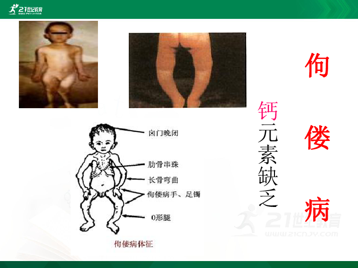 课题2 化学元素与人体健康