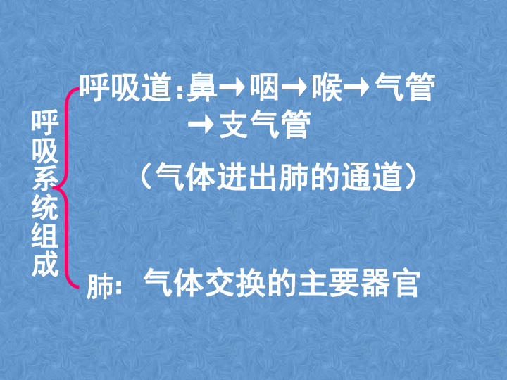 七年级下册4.3.1呼吸道对空气的处理课件（共19张ppt）