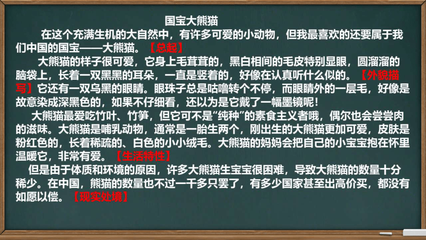 部编三年级下册语文第七单元习作国宝大熊猫共15张ppt